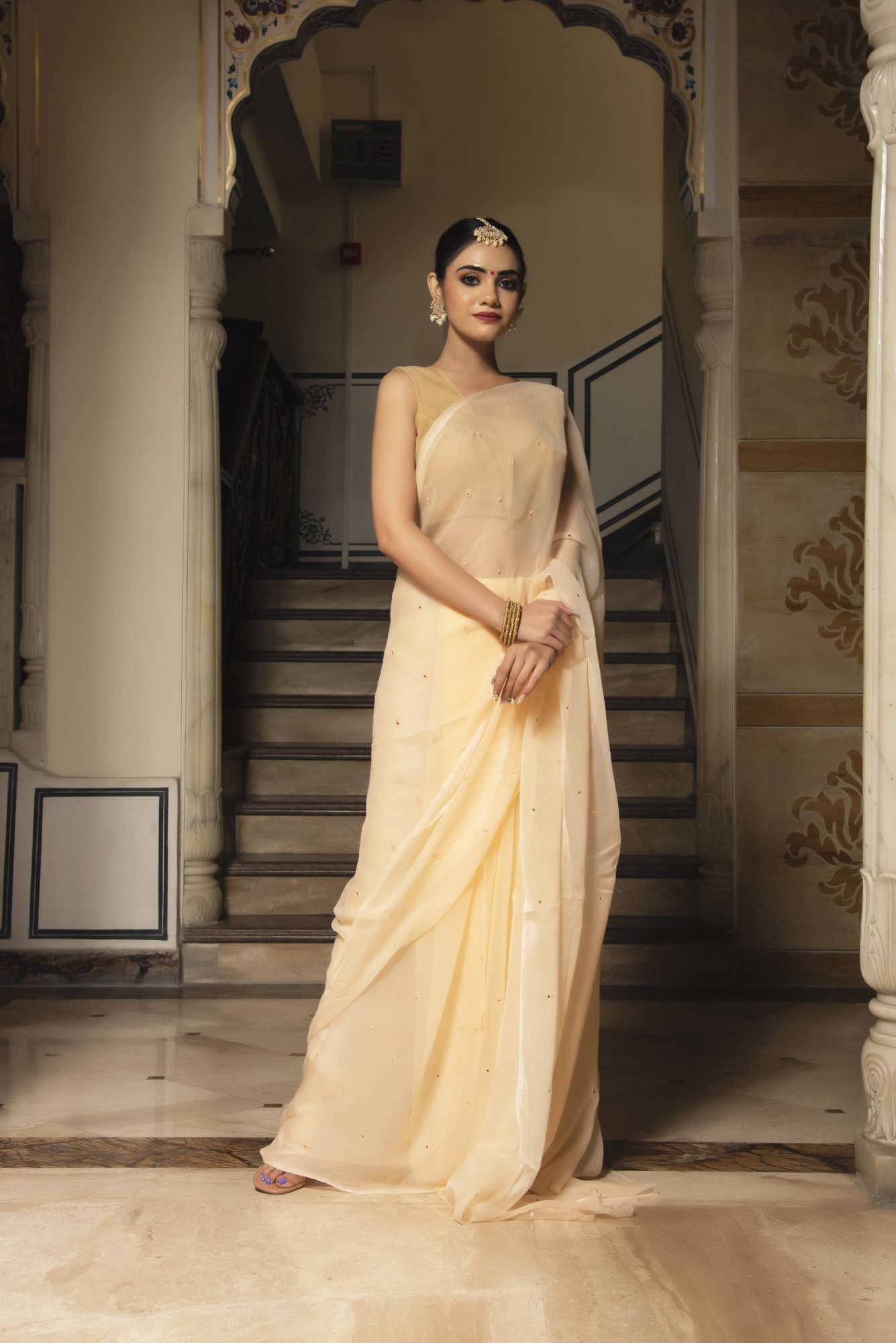 Royal Beige Pure Chiffon Handwork Saree