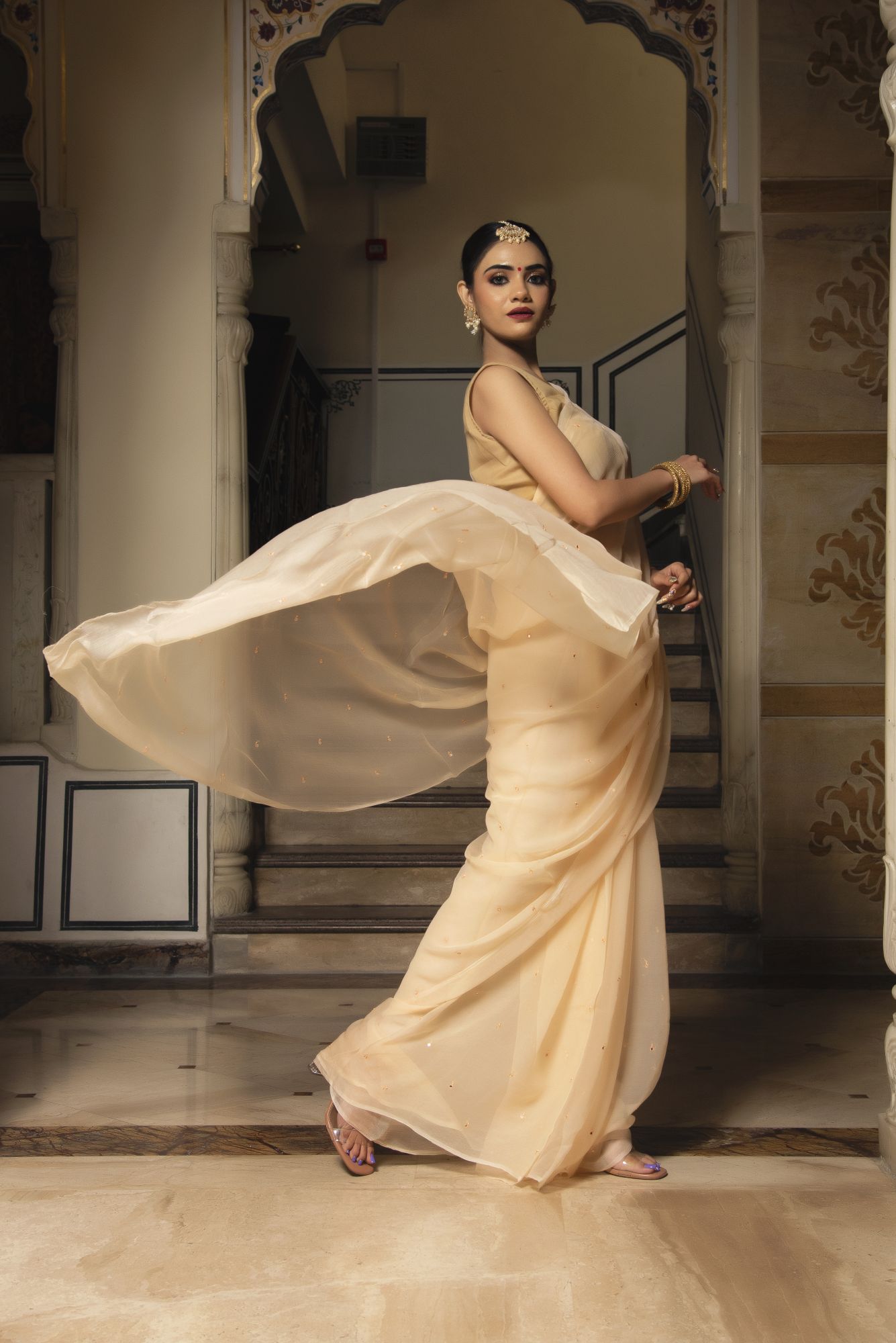 Royal Beige Pure Chiffon Handwork Saree