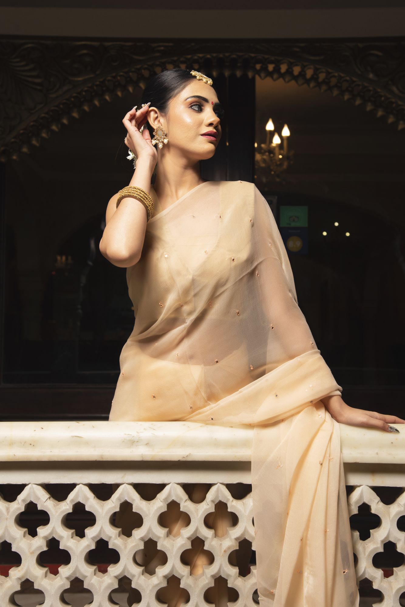 Royal Beige Pure Chiffon Handwork Saree