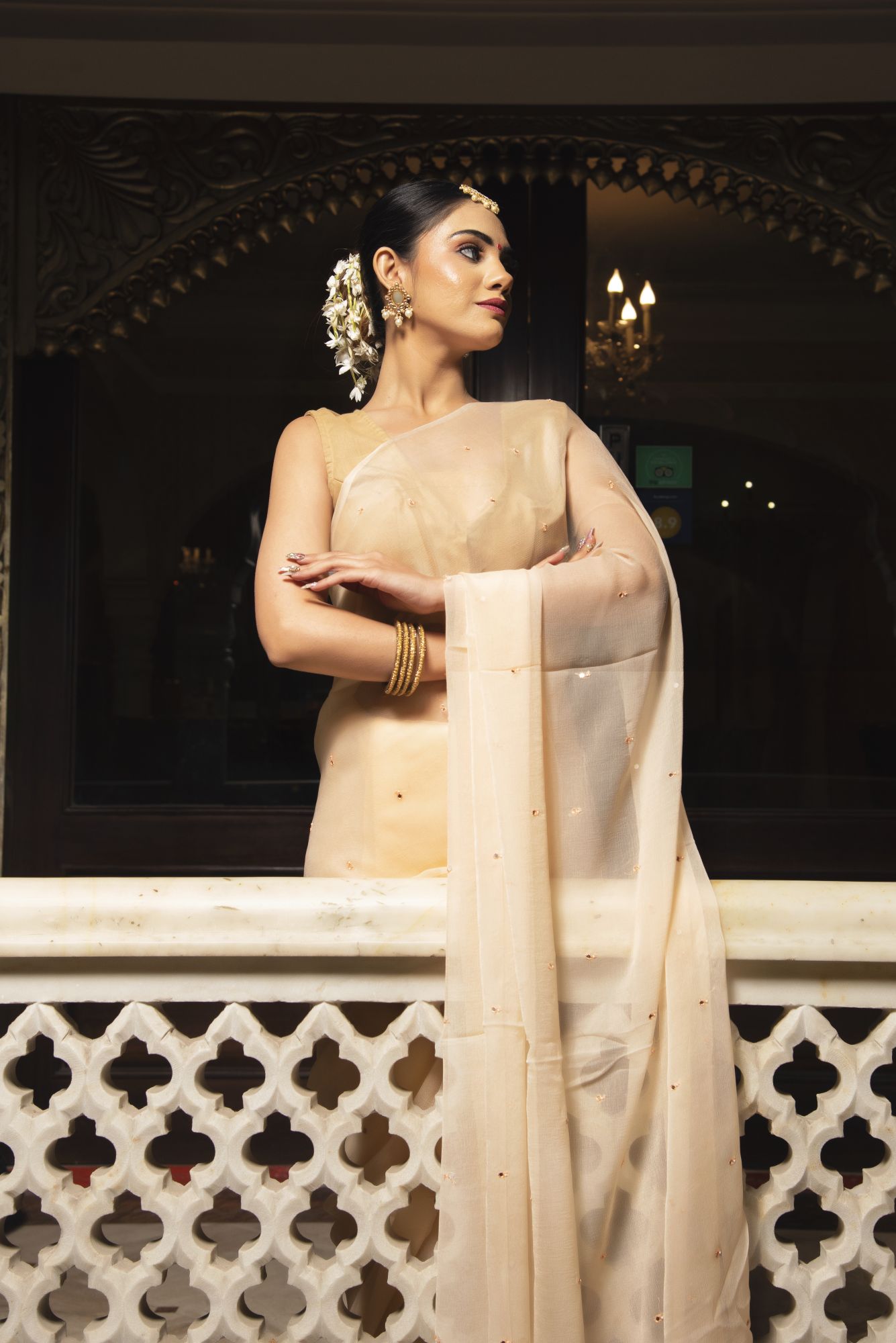 Royal Beige Pure Chiffon Handwork Saree