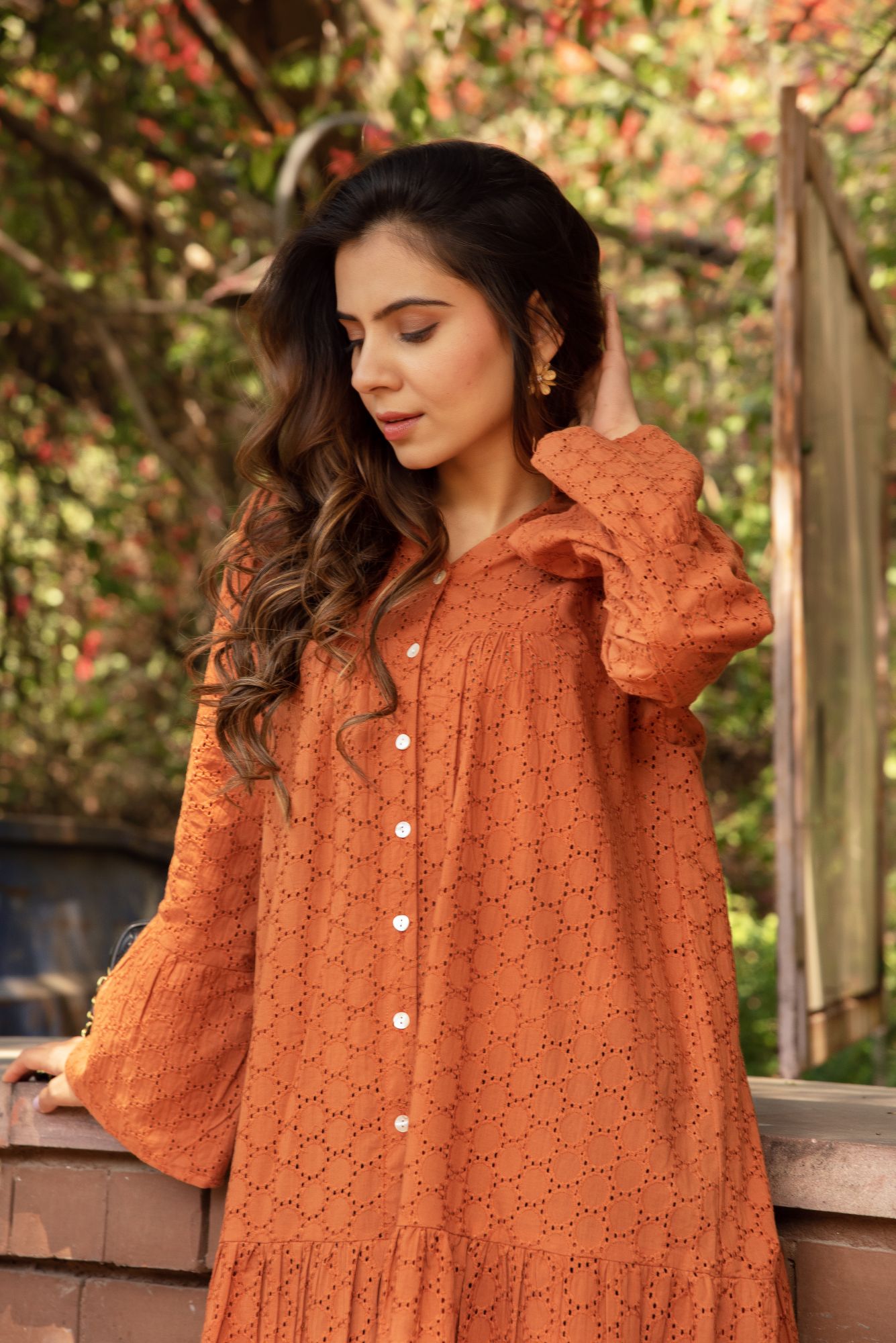 Walnut Brown schiffli Dress