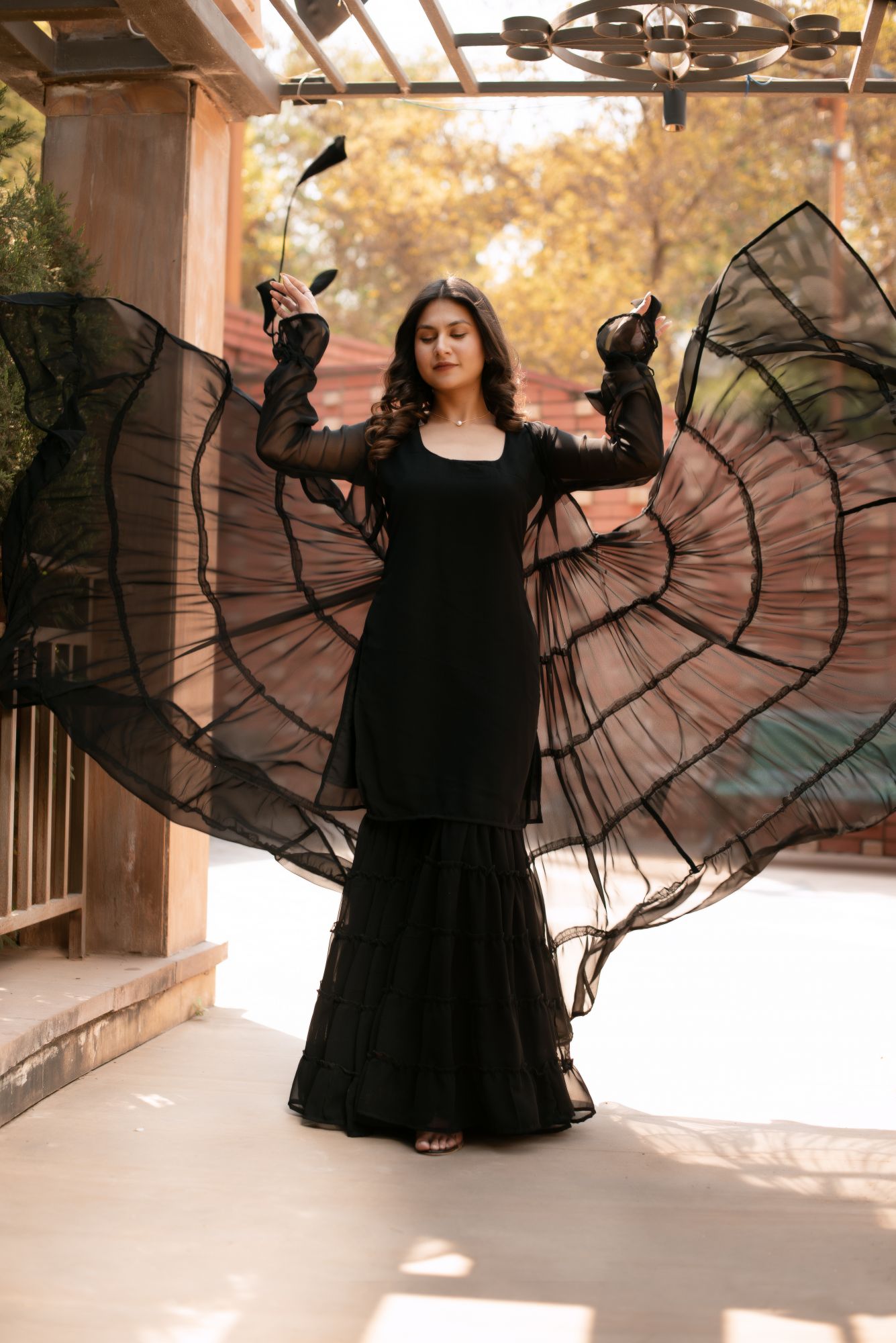 Black Georgette Sharara Shrug Set