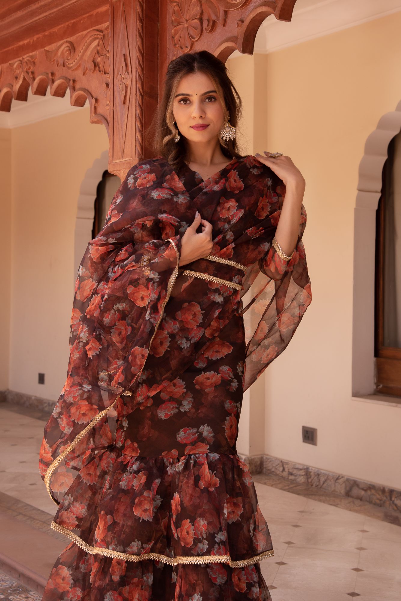 Mountain Brown Ready To Wear Organza Printed Saree