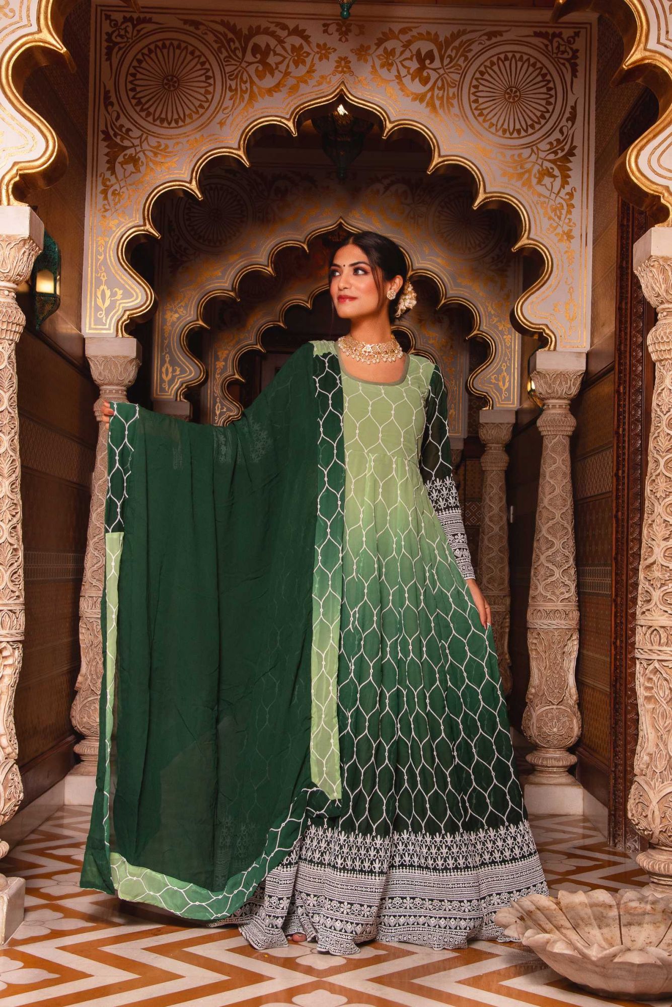 Ombre Vintage Green Embroided Anarkali Suit Set