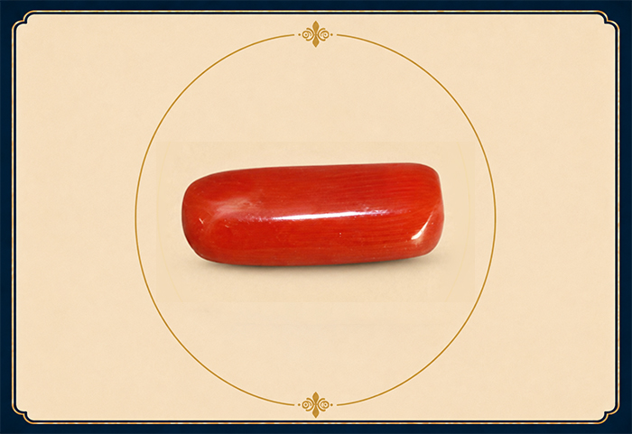 Coral Capsule (Italy) - मूंगा कैप्सूल (इटालियन)