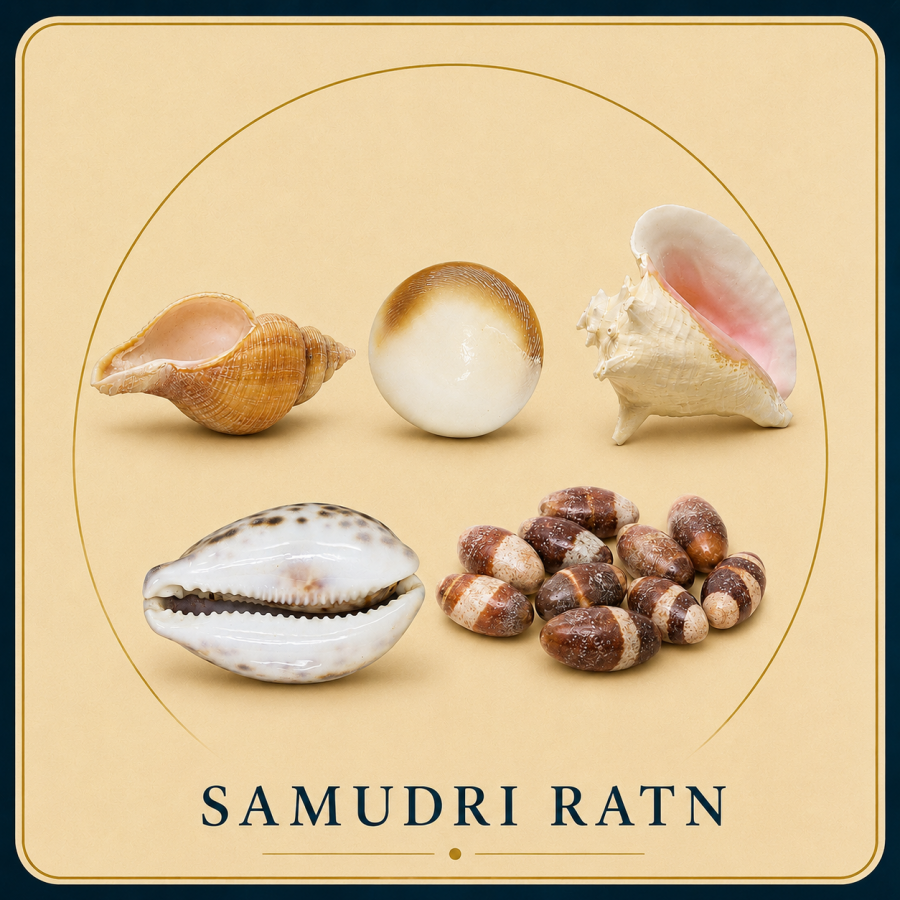 Category Alt SAMUDRI RATN