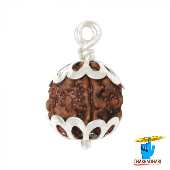 RUDRAKSHA WITH SILVER