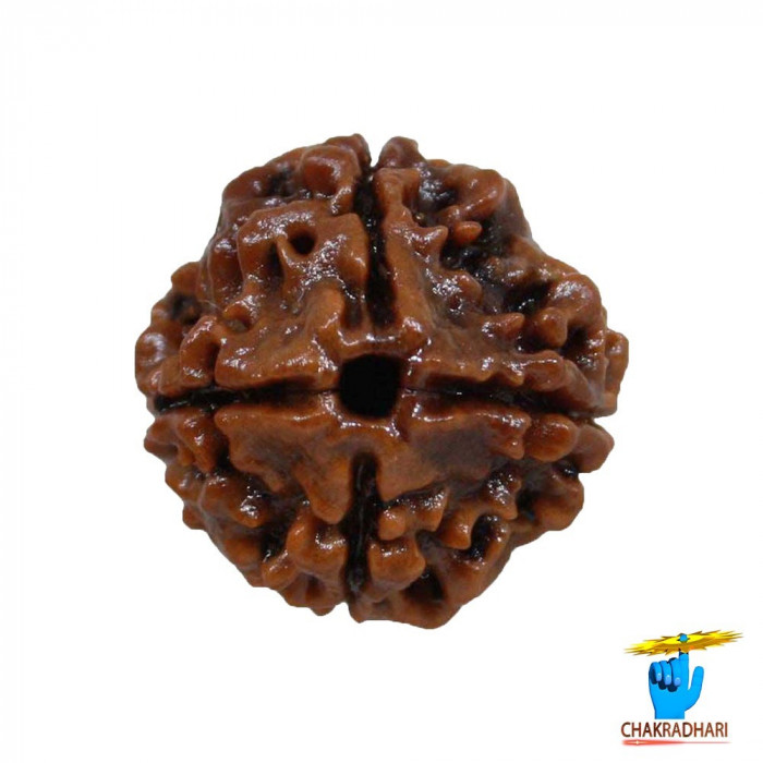 RUDRAKSHA WITHOUT SILVER
