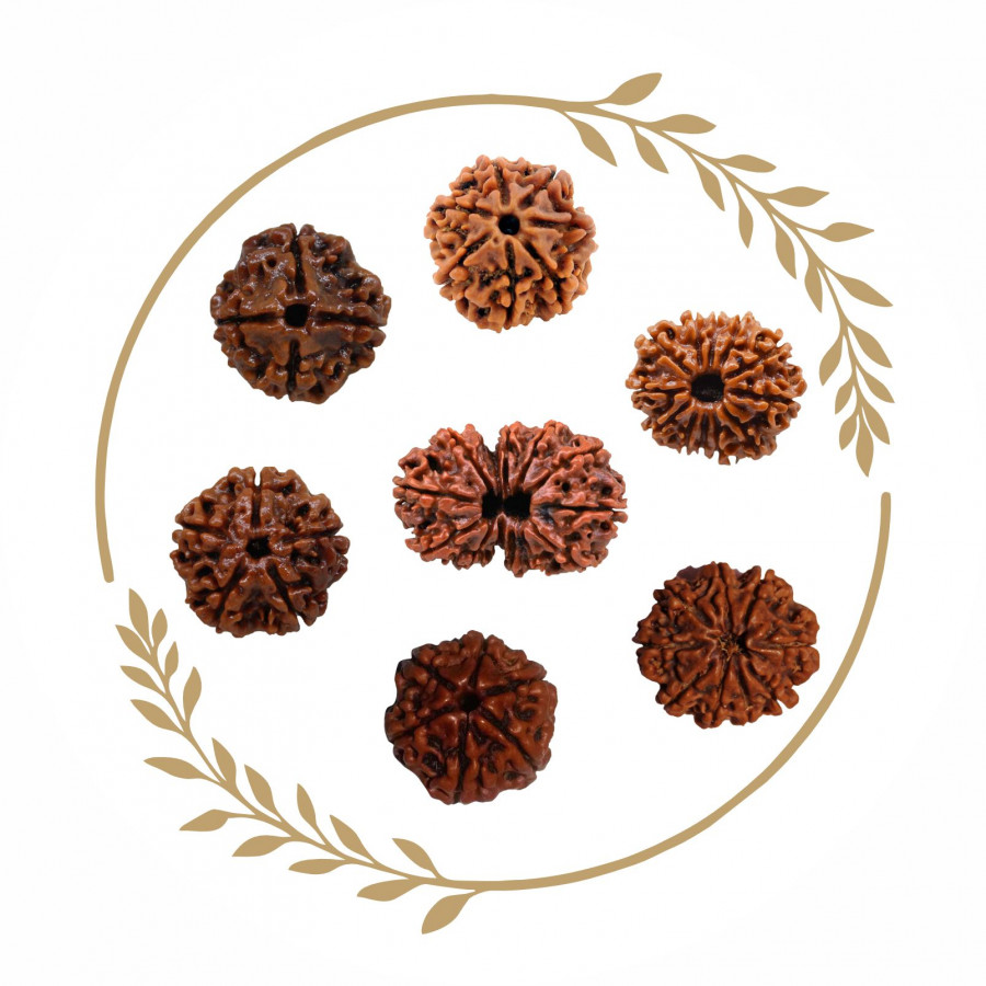 Category Alt Rudraksha