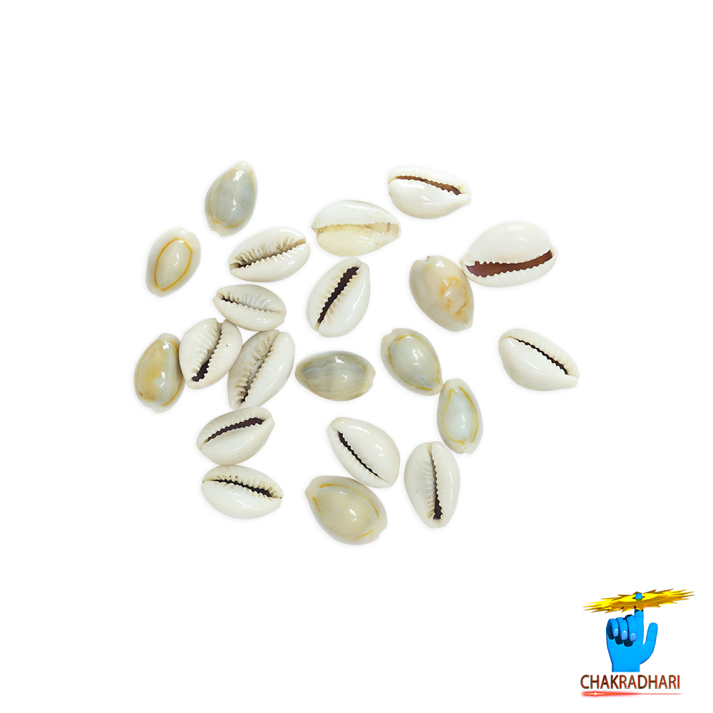 Yellow Lakshmi Koudi SET OF 21 SET OF 21