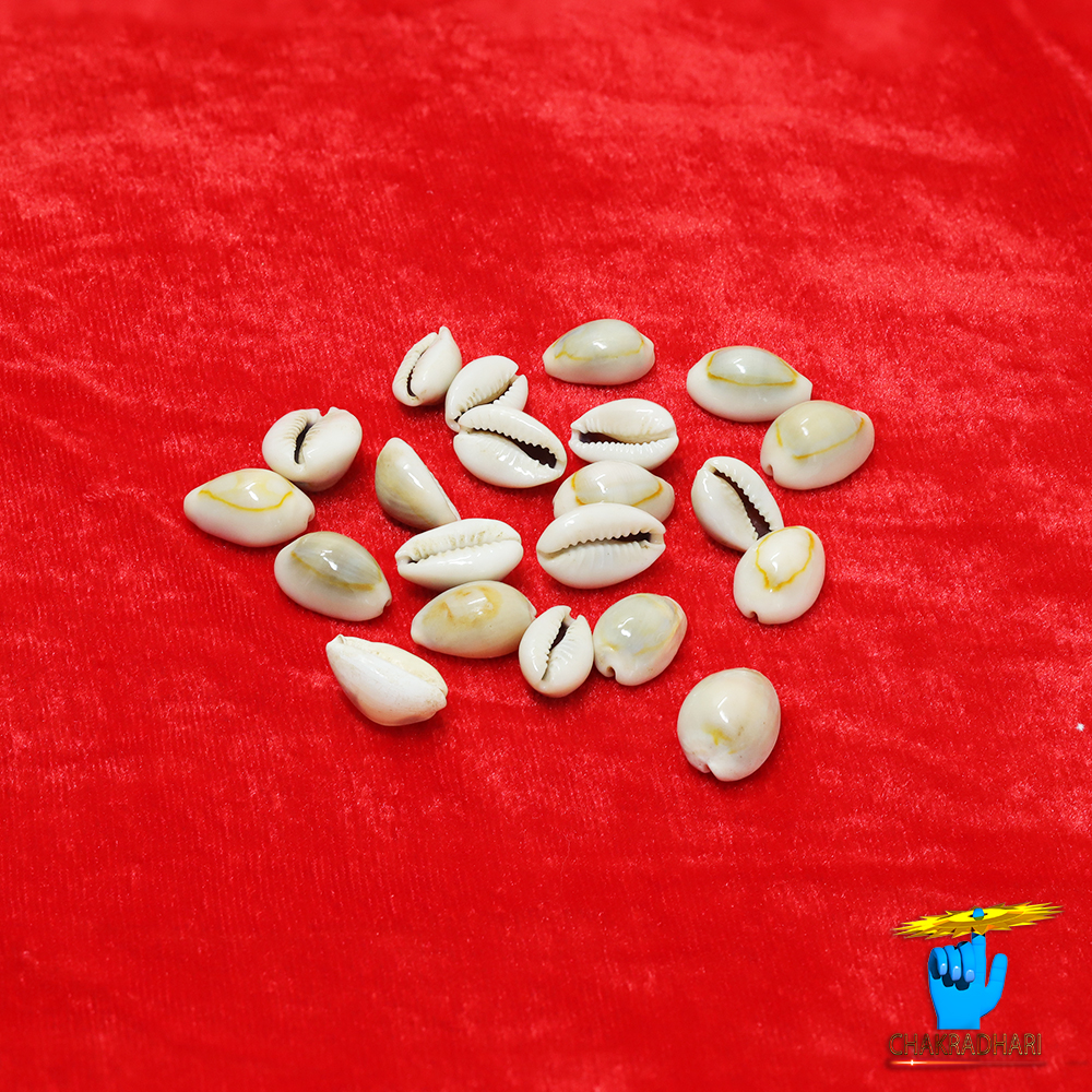 Yellow Lakshmi Koudi SET OF 21 SET OF 21