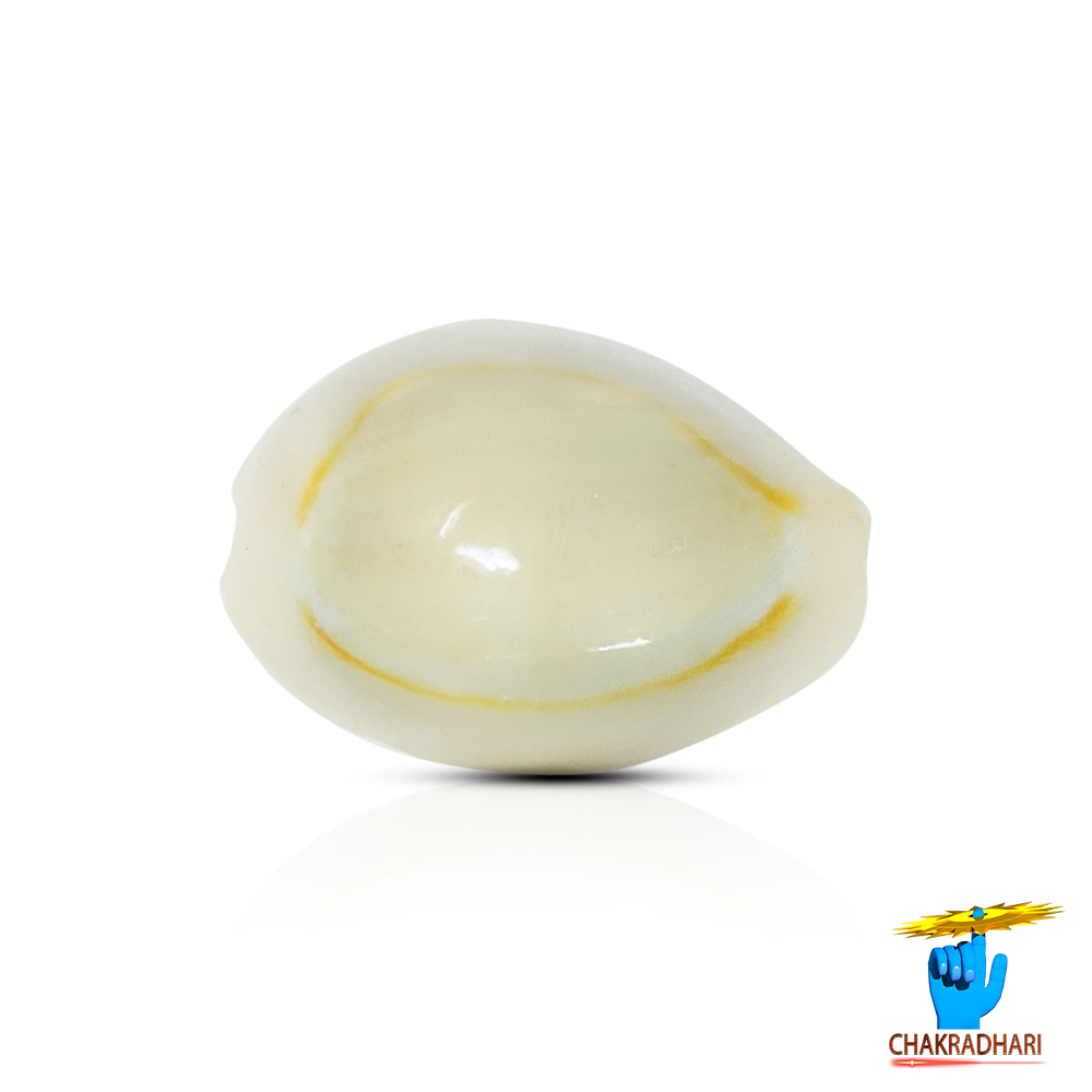 Yellow Lakshmi Koudi SET OF 21 SET OF 21