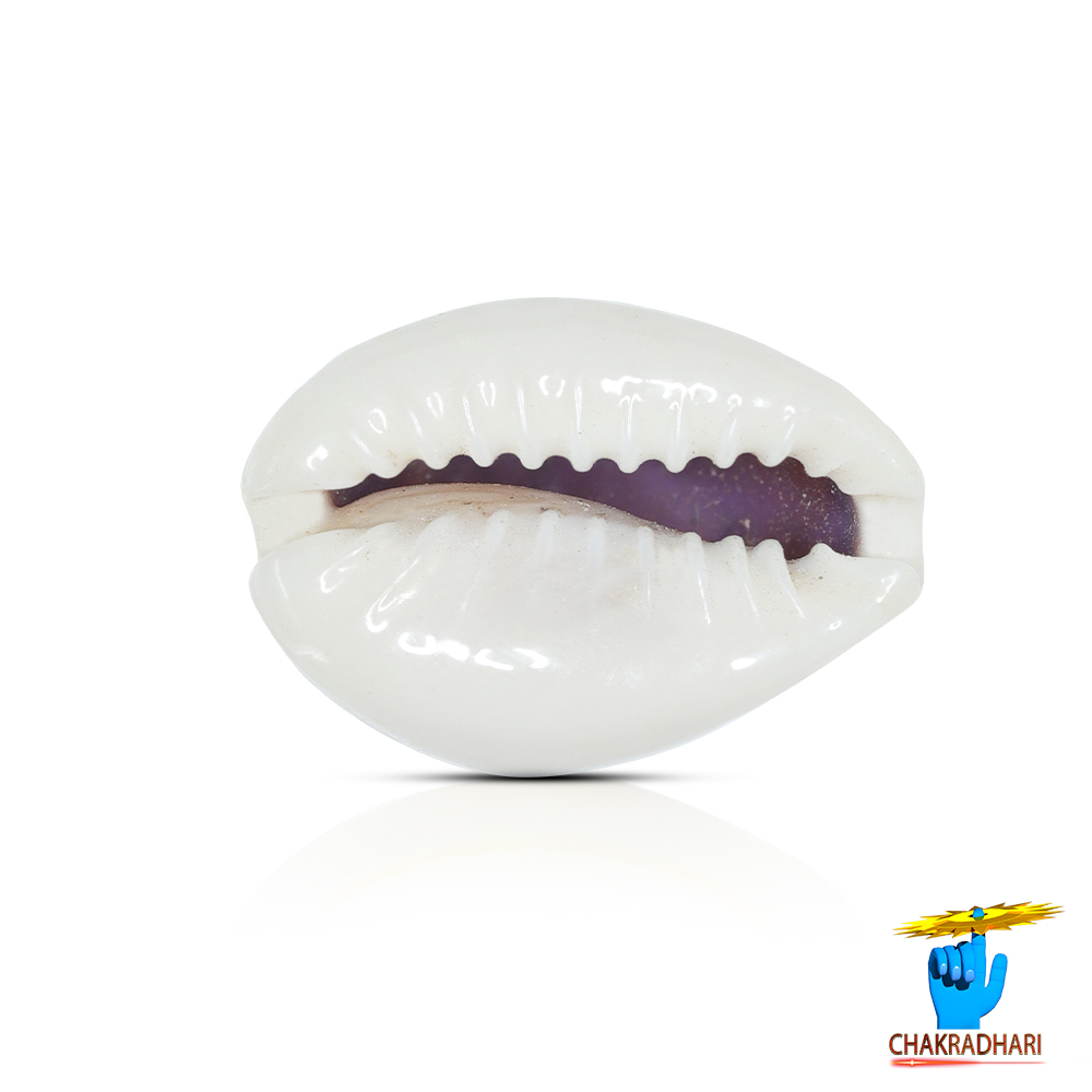 Yellow Lakshmi Koudi SET OF 21 SET OF 21