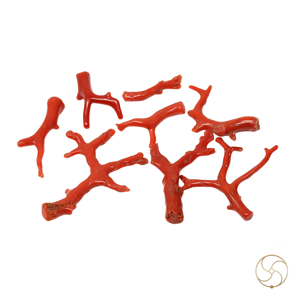 Red Moonga Branches 15gm -    15gm
