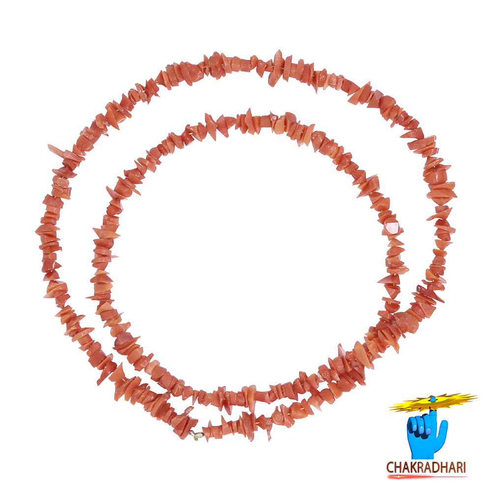 Sacred Italian Coral Moonga Chips Mala Ancient Protection Healing and Spiritual Empowerment