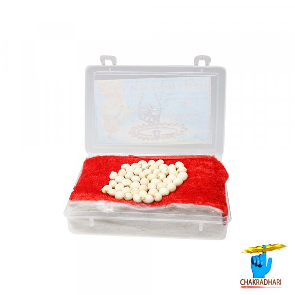 Image of White Chirmi Beads (51Pices) – सफ़ेद चिरमी दाने (51Pices)