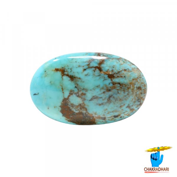Image of 19.20 Carats Turquoise American Gemstone - पिरोजक, फ़िरोज़ा अमेरिकन रत्न