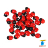 Red Chirmi Beads (51Pices) – लाल चिरमी दाने (51Pices)