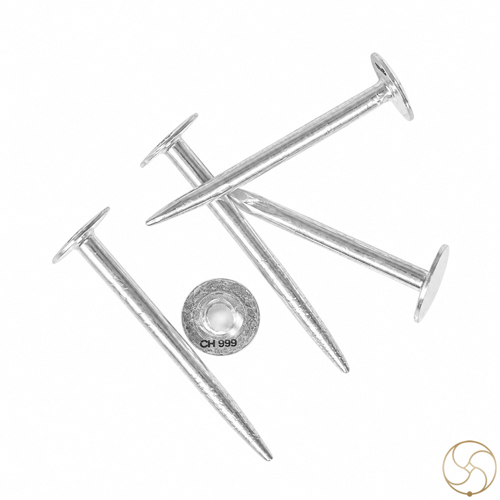 999 Silver Nail Vastu and Astrological Remedy 5 pc set