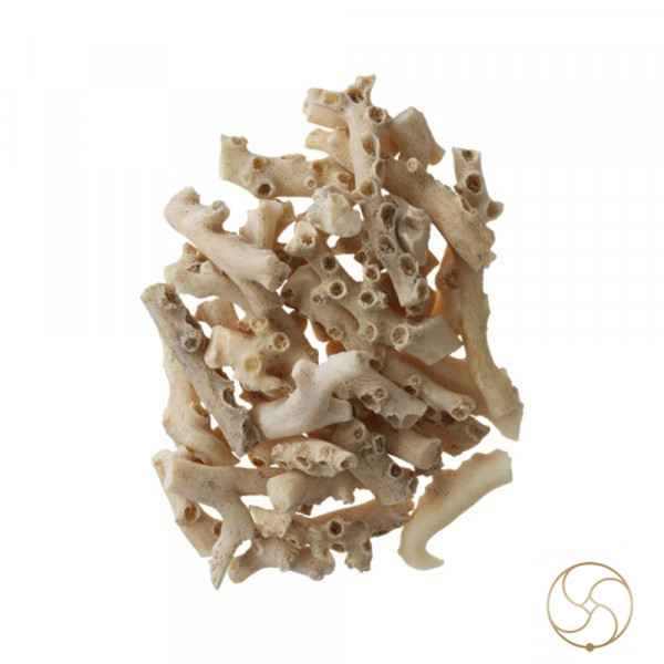 Image of White Moonga Branches (100gm) - सफ़ेद मूंगा डाली (100gm)