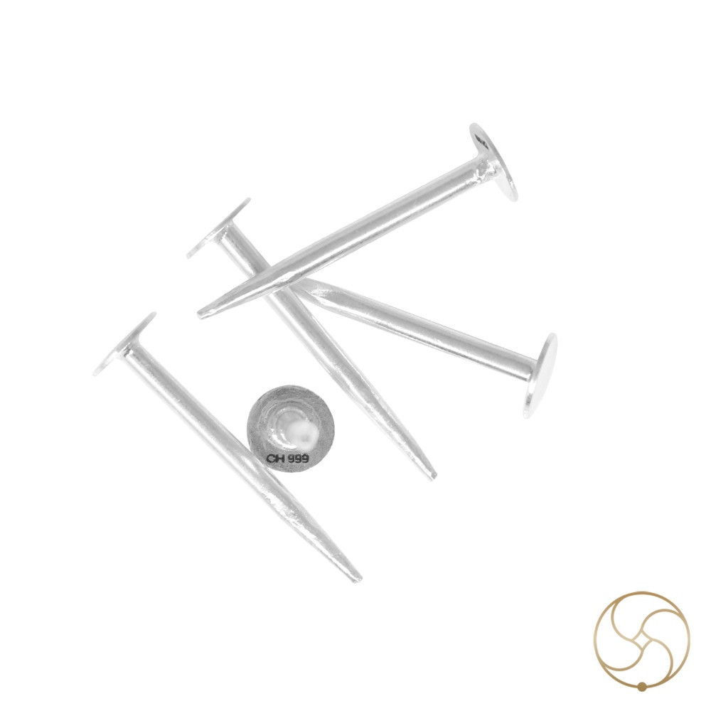 999 Silver Nail Vastu and Astrological Remedy -   8 gm