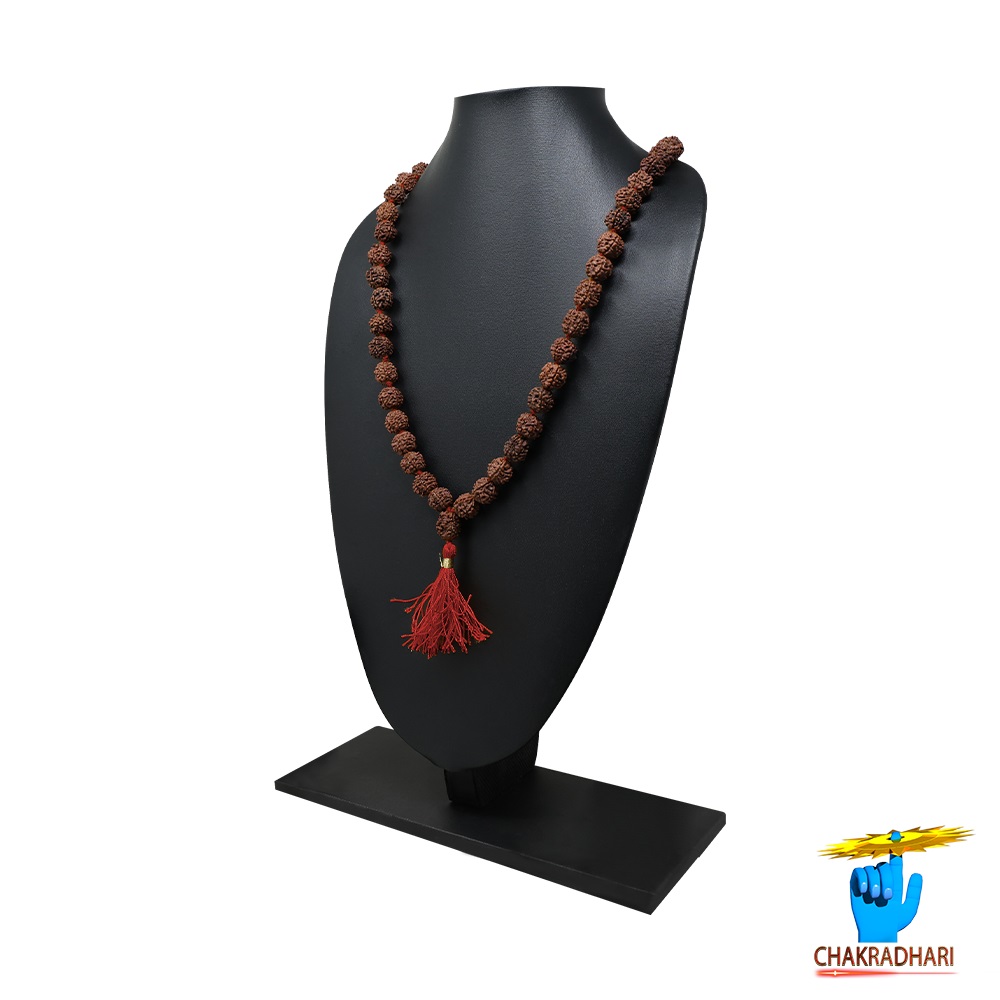 5 Mukhi Rudraksha Mala 54 Plus 1 Beads 11-12mm       - 