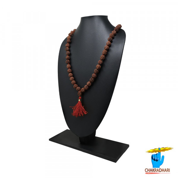 Image of 5 Mukhi Rudraksha Mala 54 Plus 1 Beads (11-12mm) – रुद्राक्ष माला (चौवन संग गुरु - मनका)