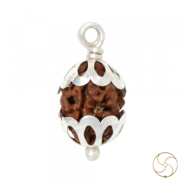 Image of Natural 02 Face Rudraksha