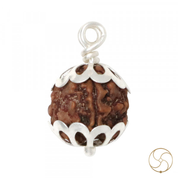Image of Natural 03 Face Rudraksha