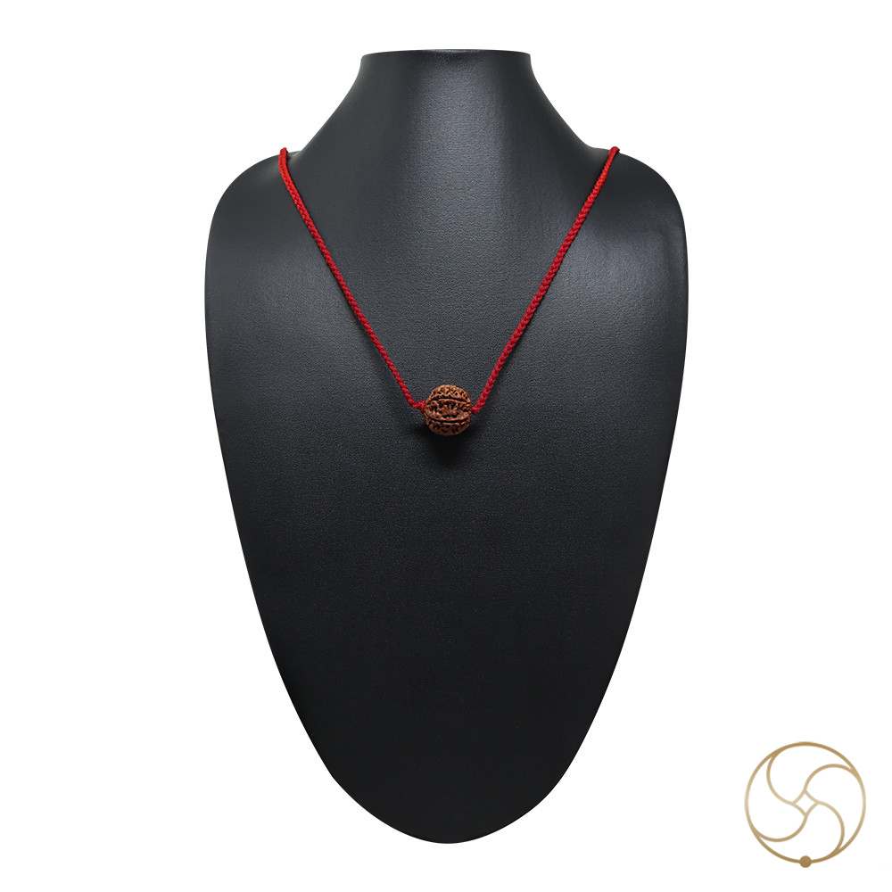 Natural Gauri Garbh Rudraksha -     