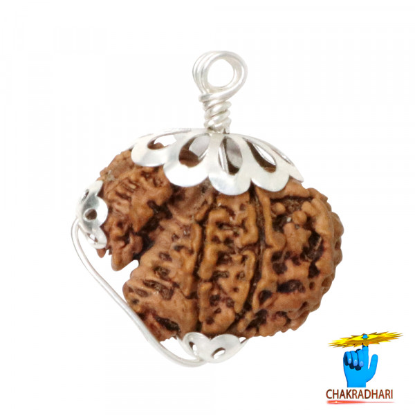 Image of Gauri Garbh Rudraksha