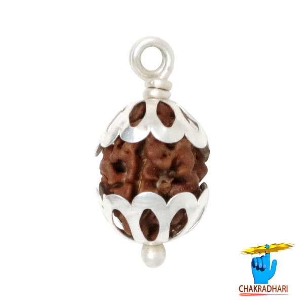 Image of Natural 02 Face Rudraksha