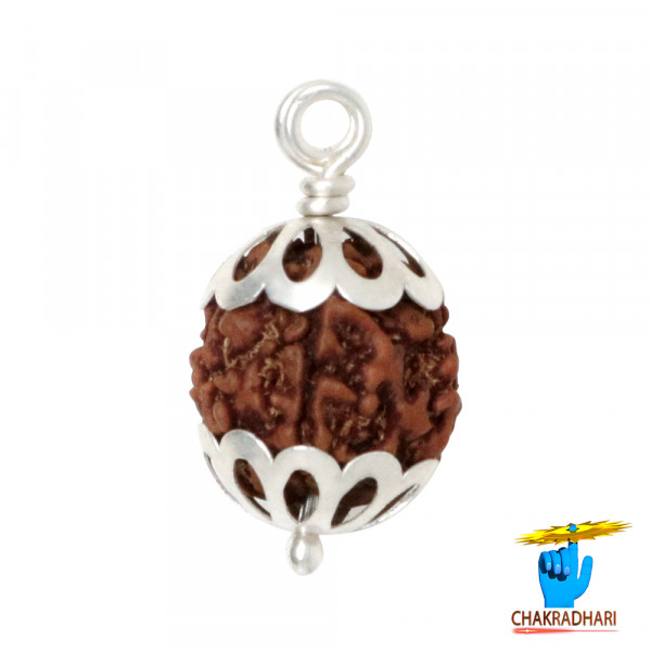 Image of Natural 05 Face Rudraksha