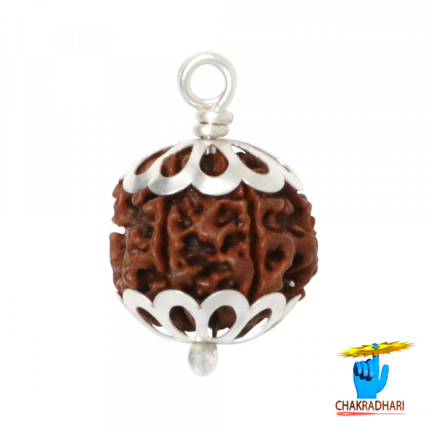 Image of Natural 06 Face Rudraksha