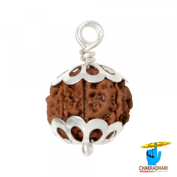 Image of Natural 08 Face Rudraksha