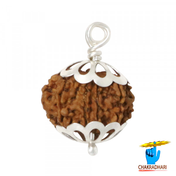 Image of Natural 10 Face Rudraksha