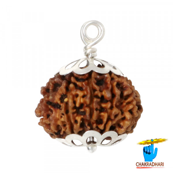 Image of Natural 11 Face Rudraksha