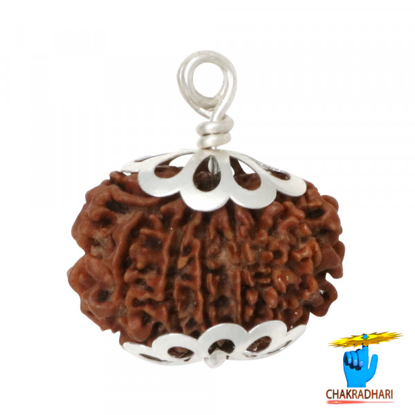 Image of Natural 12 Face Rudraksha
