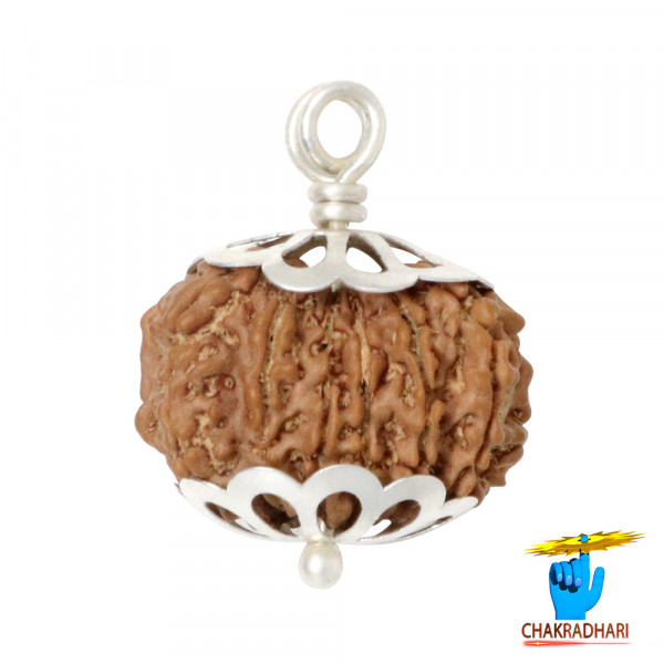 Image of Natural 13 Face Rudraksha
