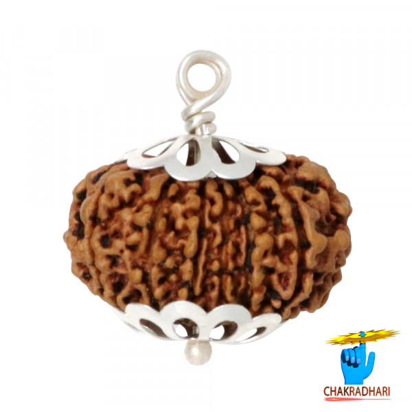 Image of Natural 14 Face Rudraksha