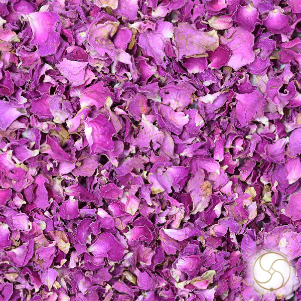 Image of Dried Rose Petals (100gm) - देसी गुलाब की सूखी पंखुड़ियां (100gm)