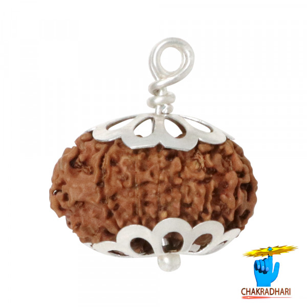 Image of Natural 15 Face Rudraksha