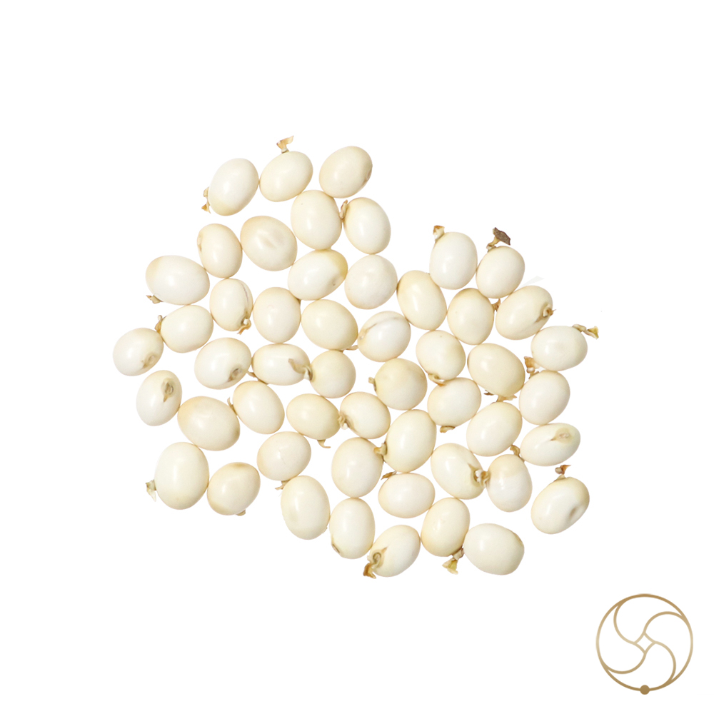 White Chirmi Beads 51Pices     51Pices