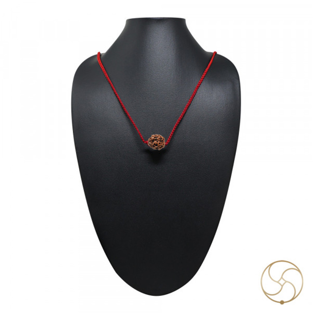 Natural 04 Face Rudraksha -  04  