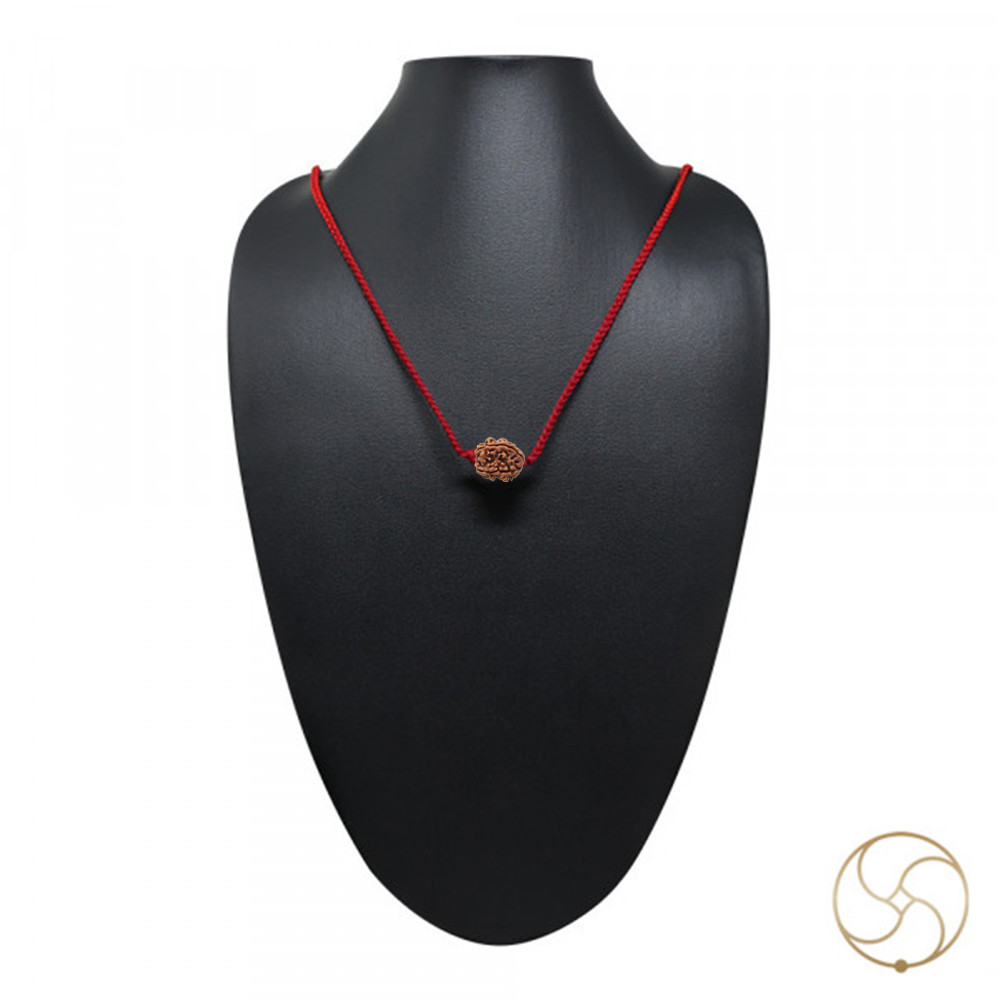 Natural 05 Face Rudraksha -  05  