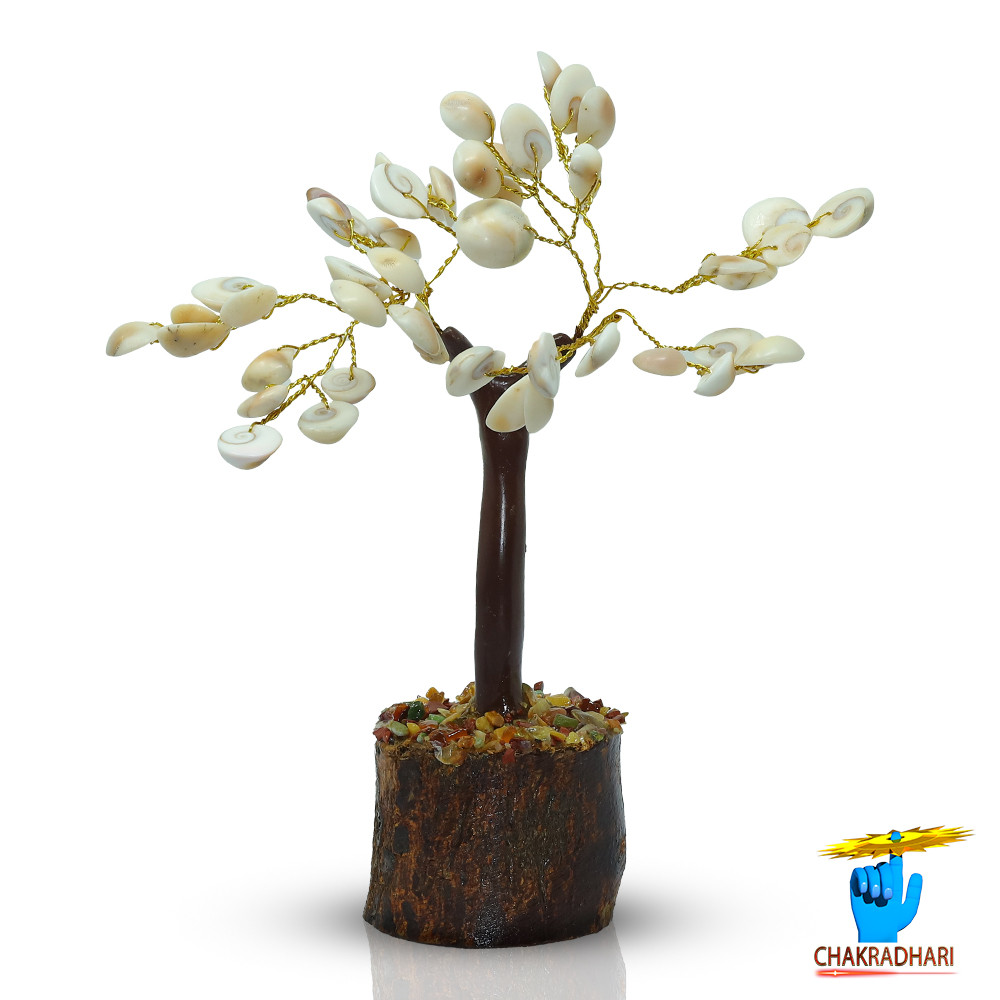 Small Gomti Chakra Shell Tree -    