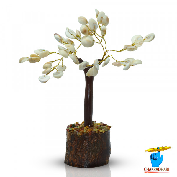 Image of Small Gomti Chakra Shell Tree - छोटा गोमती चक्र वृक्ष