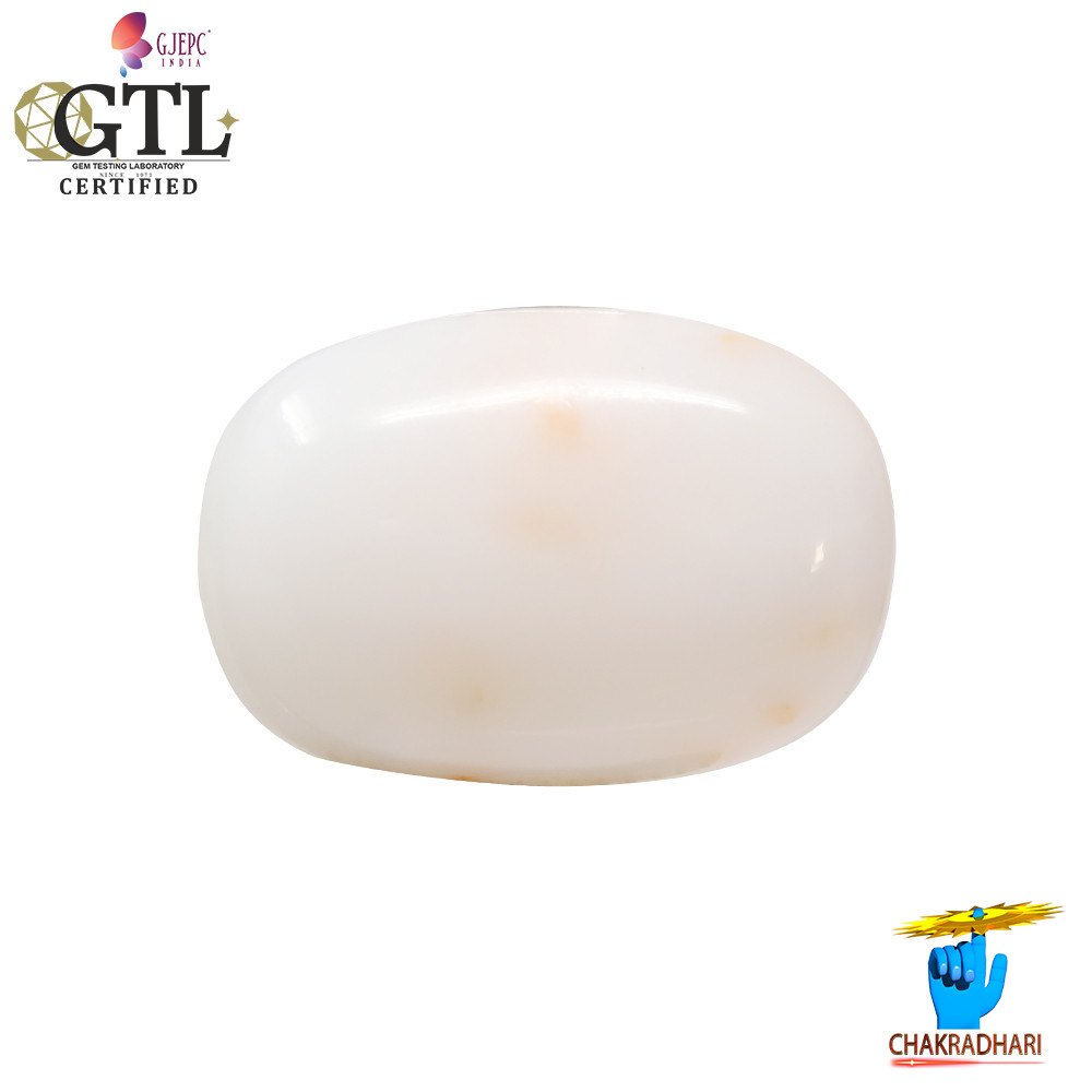 1781 Carats White Coral With Ring Or Pendant -   