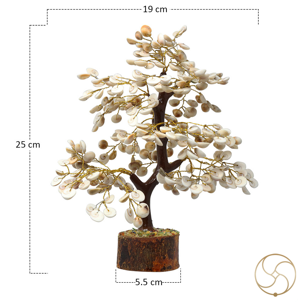 Big Gomti Chakra Conch Shell Tree -     