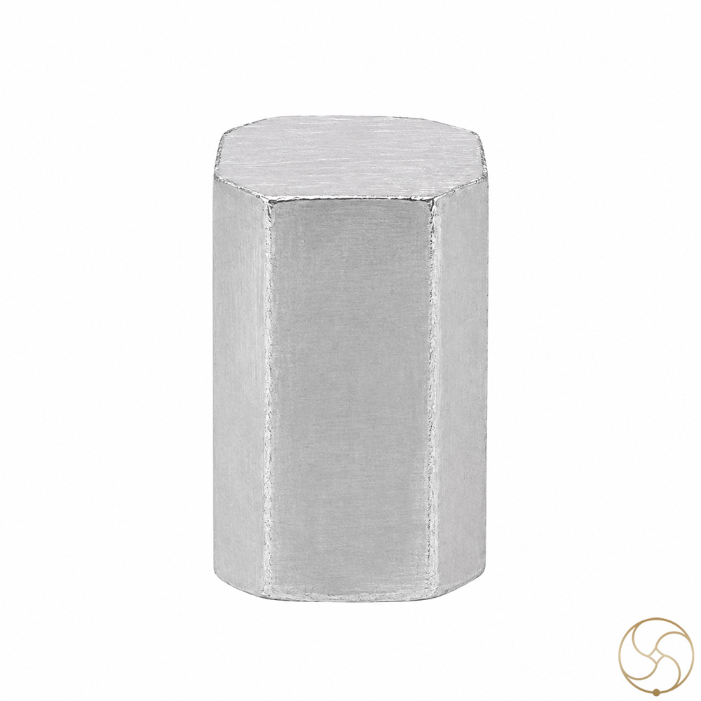 999 Silver AstroVastu Bricks Set